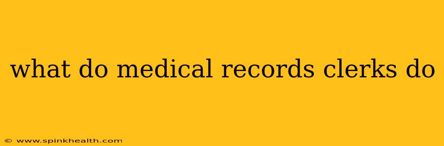 what do medical records clerks do