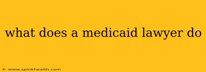 what does a medicaid lawyer do