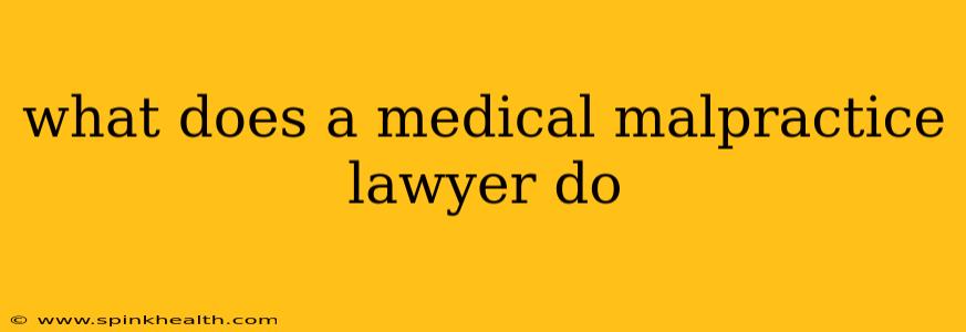 what does a medical malpractice lawyer do