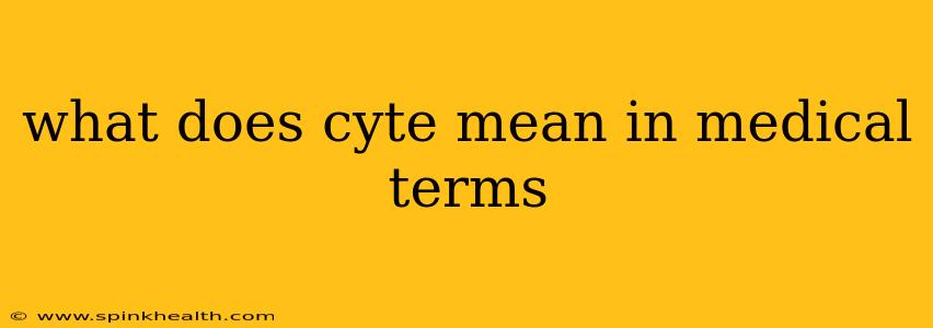 what does cyte mean in medical terms
