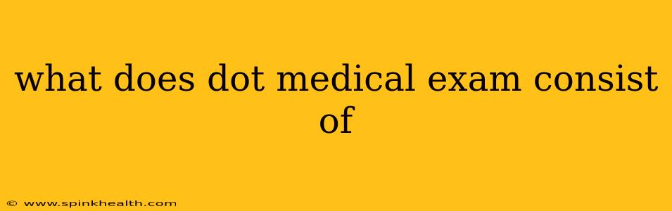 what does dot medical exam consist of