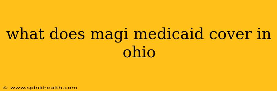 what does magi medicaid cover in ohio