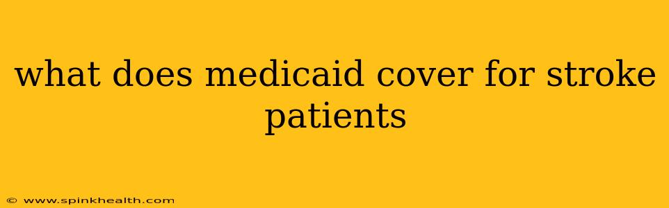 what does medicaid cover for stroke patients