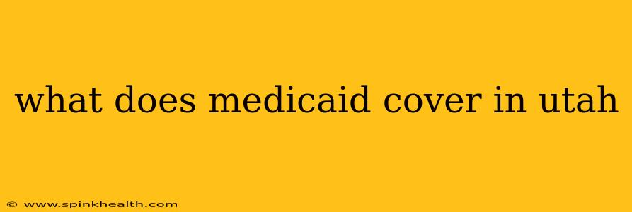 what does medicaid cover in utah