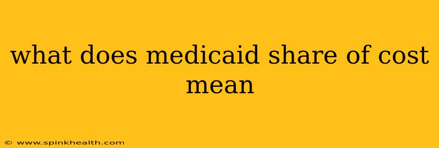 what does medicaid share of cost mean