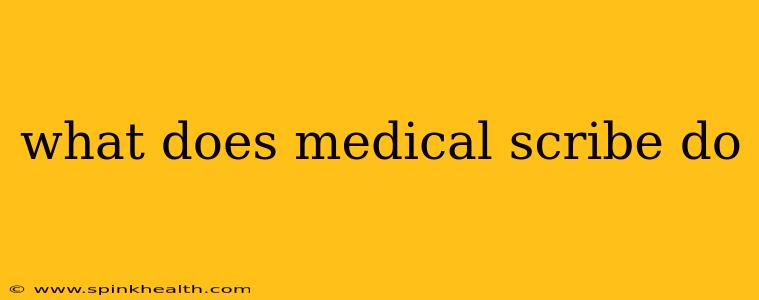 what does medical scribe do