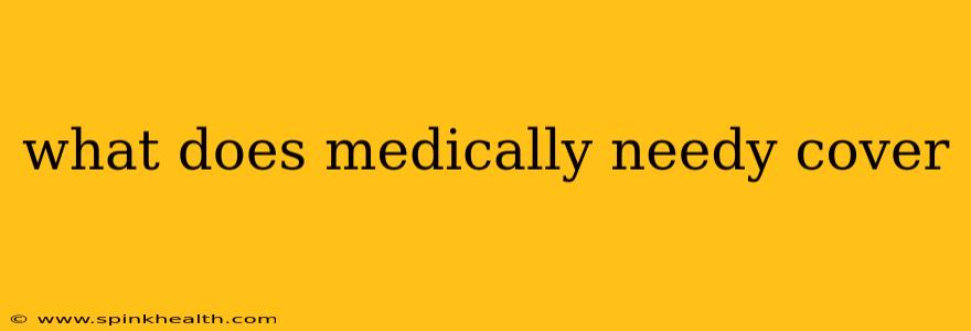 what does medically needy cover