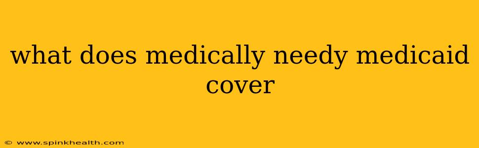 what does medically needy medicaid cover