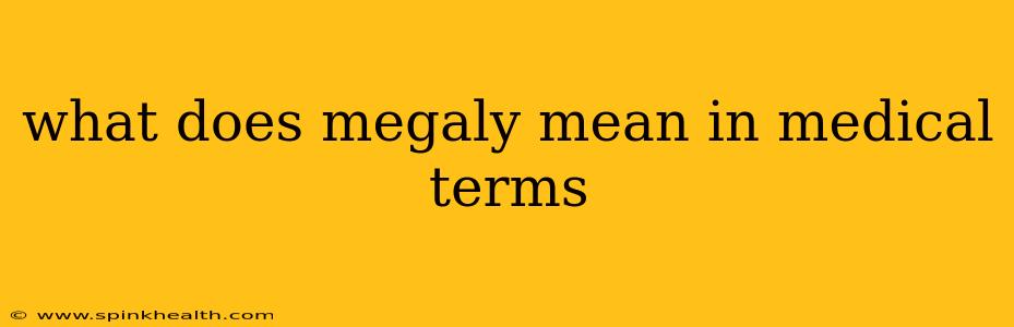what does megaly mean in medical terms