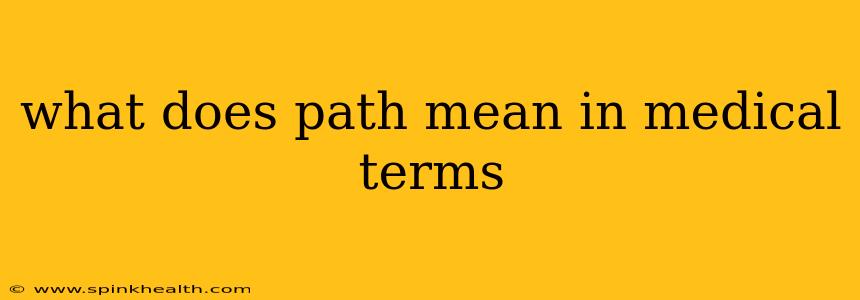 what does path mean in medical terms