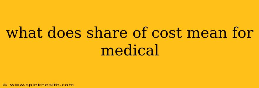 what does share of cost mean for medical