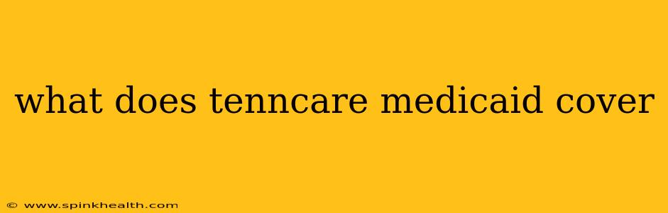 what does tenncare medicaid cover