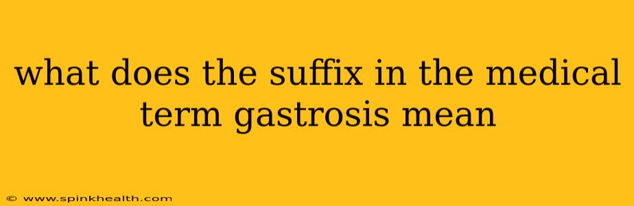 what does the suffix in the medical term gastrosis mean