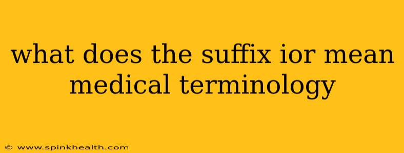 what does the suffix ior mean medical terminology