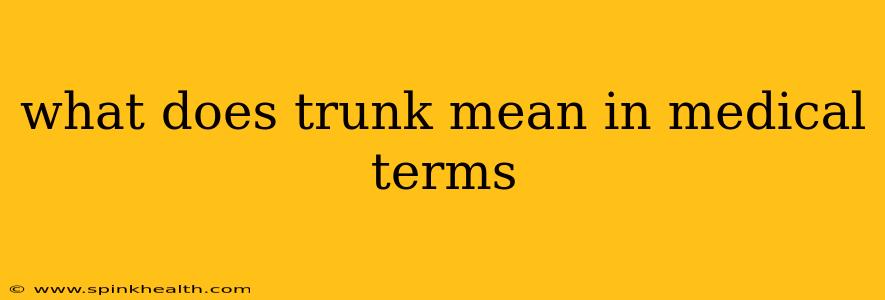 what does trunk mean in medical terms