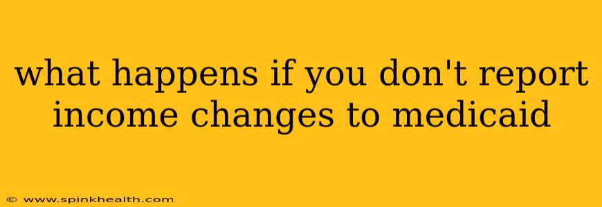 what happens if you don't report income changes to medicaid