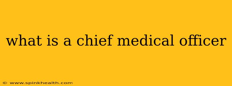 what is a chief medical officer