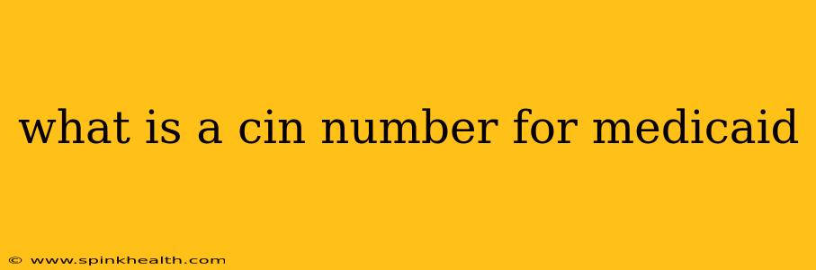 what is a cin number for medicaid