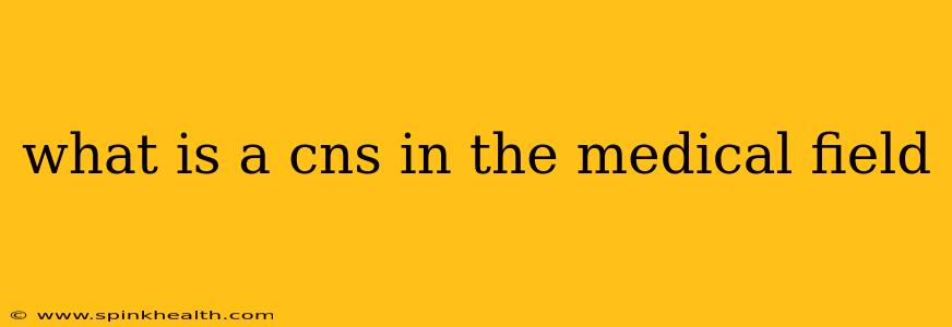 what is a cns in the medical field