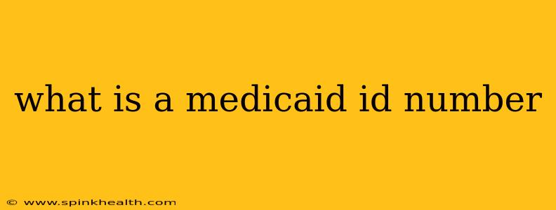 what is a medicaid id number