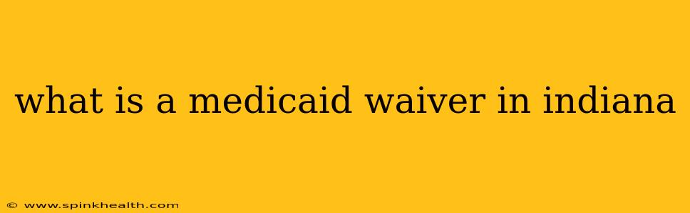 what is a medicaid waiver in indiana