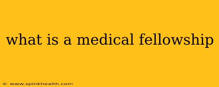 what is a medical fellowship