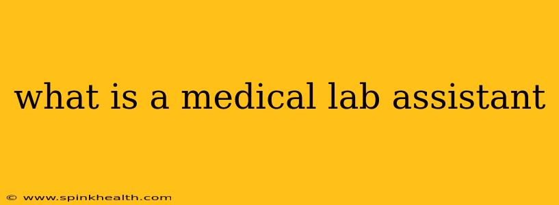 what is a medical lab assistant