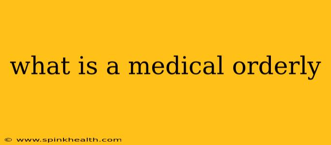 what is a medical orderly