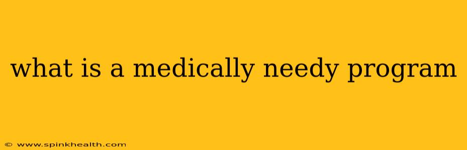 what is a medically needy program