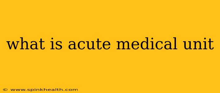 what is acute medical unit