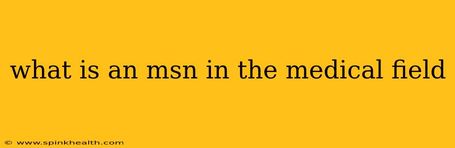 what is an msn in the medical field