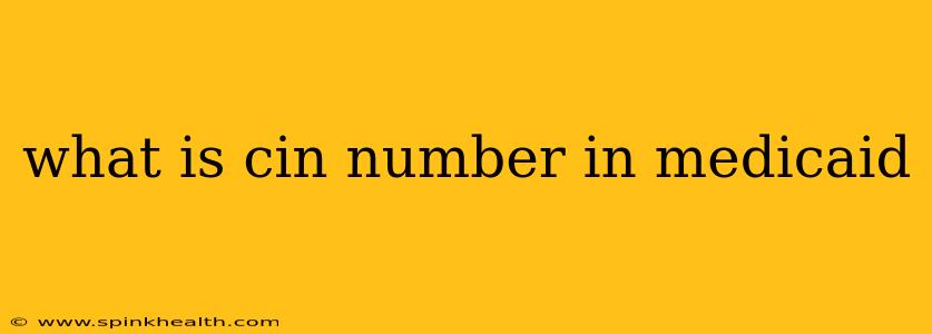 what is cin number in medicaid