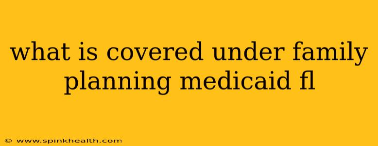what is covered under family planning medicaid fl