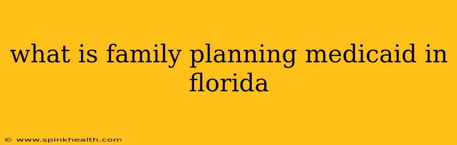 what is family planning medicaid in florida