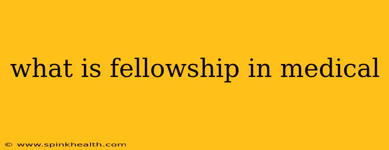 what is fellowship in medical