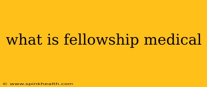 what is fellowship medical