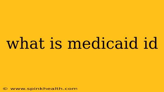 what is medicaid id