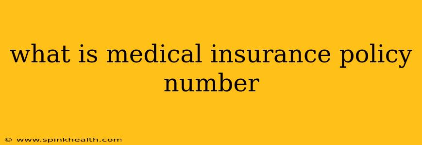 what is medical insurance policy number
