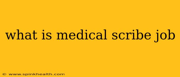 what is medical scribe job