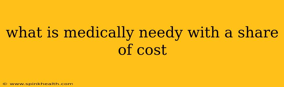 what is medically needy with a share of cost