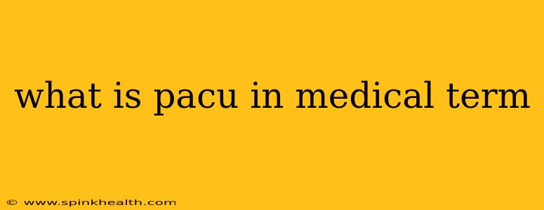 what is pacu in medical term
