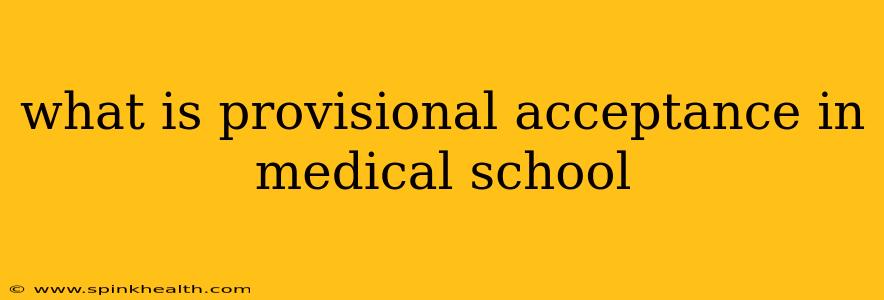 what is provisional acceptance in medical school