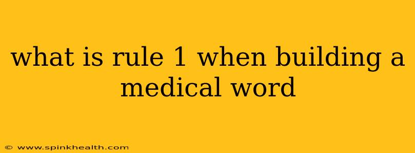 what is rule 1 when building a medical word