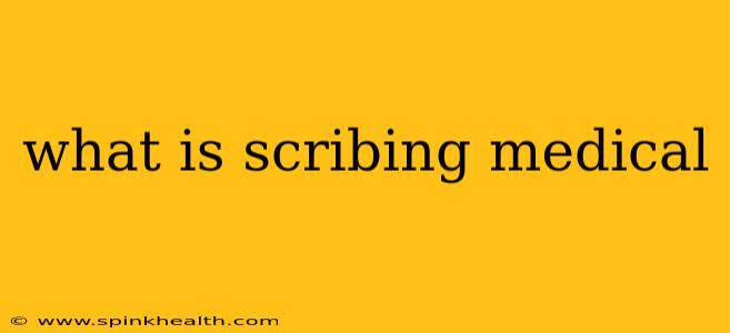 what is scribing medical
