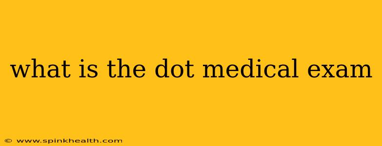 what is the dot medical exam