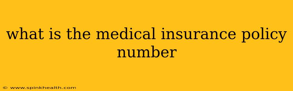 what is the medical insurance policy number
