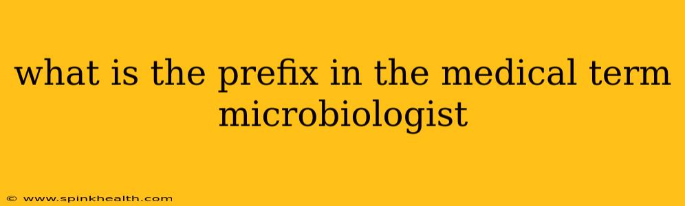 what is the prefix in the medical term microbiologist