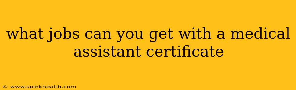 what jobs can you get with a medical assistant certificate