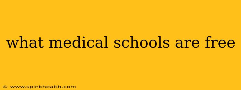 what medical schools are free