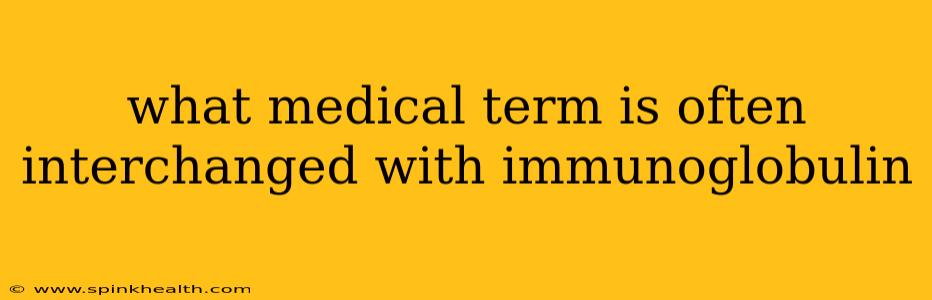 what medical term is often interchanged with immunoglobulin